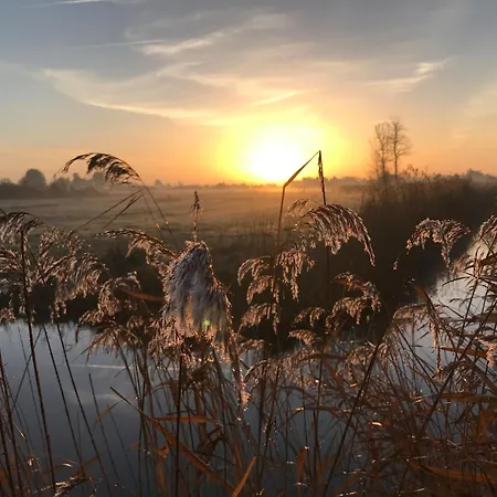 Maison De A 100m De La - 7 Pers - Dame-de-monts - Fr-1-540-149 Nyaraló *