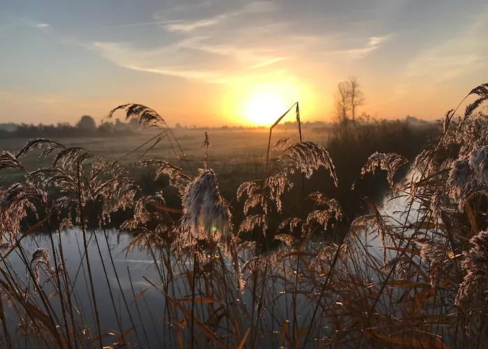 Maison De A 100m De La - 7 Pers - Dame-de-monts - Fr-1-540-149 Nyaraló *